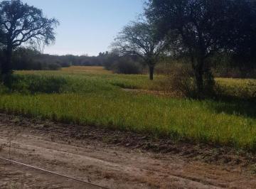 Campo · 1m² · Excelente. Fraccion de Campo