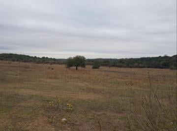 Terreno · 24m² · Excelente. Fracción de Campo. 24 Hectáreas