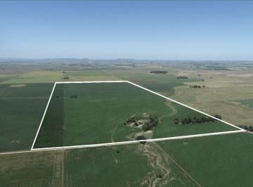 Campo · 1760000m² · Balcarce - 176 Ha Agrícola