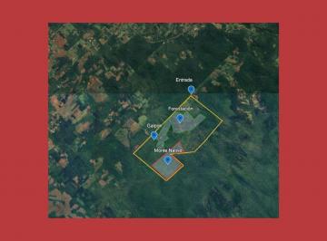 Campo · 4400000m² · Campo en Venta de Gobernador Roca a Porcos Kilom de La Ruta 6