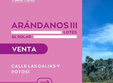 Campo , Merlo · Venta de Lotes Arandanos III - El Solar