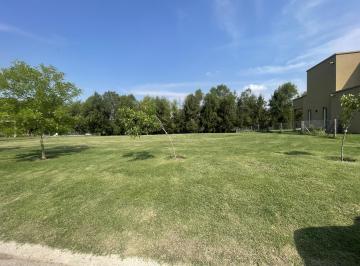 Terreno · 781m² · Venta de Lote en El Naudir