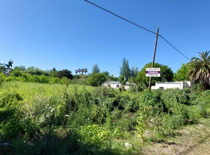 Terreno · 3079m²