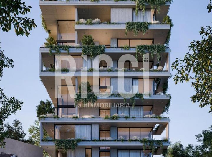 Desarrollo vertical · Elyon
