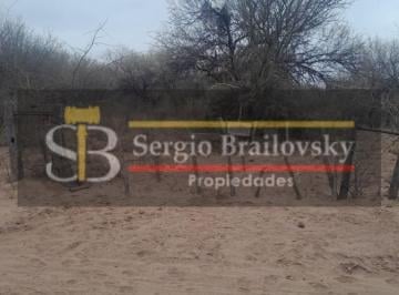 Campo · 1000000m² · Se Vende Campo de 100 Ha Candelaria San Luis