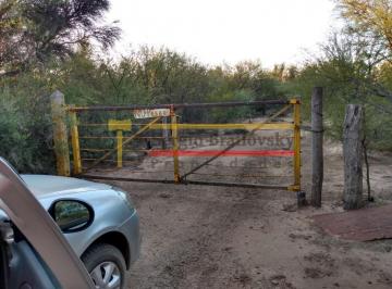 Campo · 1500000m² · Se Vende Campo de 150 Ha Candelaria San Luis