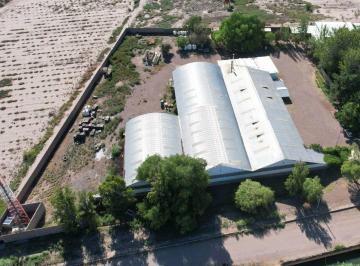 Bodega-Galpón · 3900m² · Venta de Galpon y Terreno en Coquimbito Maipu Mdza