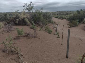 Terreno · 3050000m² · Campo en Venta 305 Ha