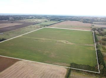 Campo · 500000ha · Mar del Plata - 50 Ha Agricola.