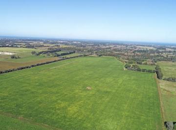 Campo · 880000m² · Mar del Plata - 88 Ha Agricola Sobre Asfalto