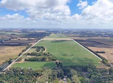 Campo · 880000ha · Mar del Plata - 88 Ha Agricola Sobre Asfalto