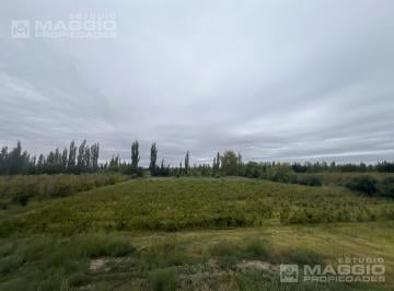 Bodega-Galpón · 380m² · 4 Ambientes · Bodega en Venta