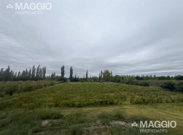 Bodega-Galpón · 380m² · 4 Ambientes · Bodega Venta Cañada Seca San Rafael Mendoza