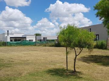 Terreno · 538m² · Terreno en Venta - 538 m² - San Ramón, Pilar