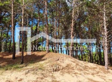 NHZ-NHZ-86_2 · Lote en Venta en Pinamar