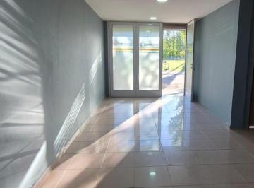 Oficina comercial · 5 Ambientes · Alquiler Oficina Sobre Ruta 151 - Ruta del Petroleo - Cinco Saltos - Rio Negro