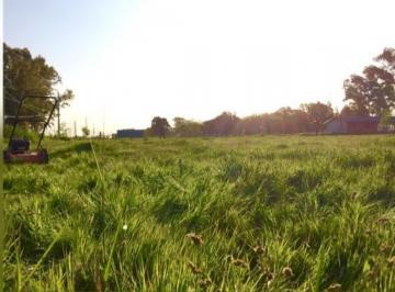 Terreno · 2400m² · Terreno en Venta - 2.400 m² - Guernica, Presidente Perón