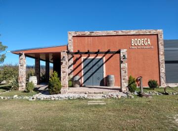 Bodega-Galpón · 850m² · 11 Ambientes · 4 Cocheras · Bodega en Venta - 9 Dorm. 4 Baños - Cocheras - 85.039 m² - San Rafael, Mendoza