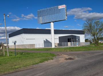 Bodega-Galpón · 1800m² · Galpón 1800 m Alvear a Estrenar