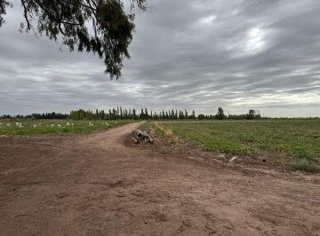 Campo de 9 ambientes, Maipú · Finca Rodeo del Medio