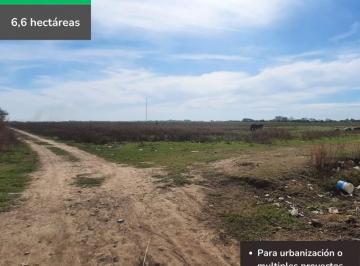 Campo · 66000m² · Fraccion de Campo de 6,6 Ha en San Nicolas (Zona Urbana)