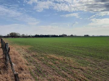 Campo · 245000m² · Campo Agricola de 24,5 Ha con Mejoras en San Nicolas