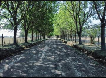 Terreno · 504m² · Terreno en Venta - 504 m² - Abasto, La Plata