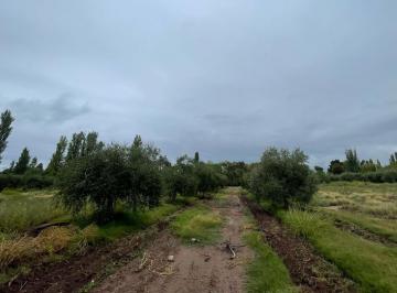 Campo · 100000m² · Realtyplus Vende Finca - Maza y Cruz Videla