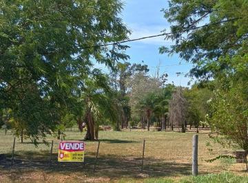 Terreno · 500m² · Terreno de 10 X 50 con Divina Vista en Margarita Belén