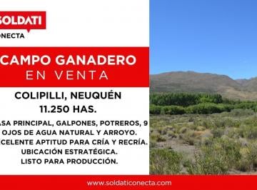 Campo · 112500000m² · Campo de 11250 Ha en Venta - Colipilli - Neuquen