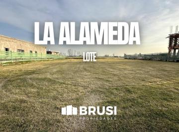 Terreno · 1000m² · Terreno en Venta de 1000 m² a La Laguna 2da Etapa