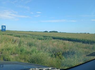 Campo · 700000m² · Campo en Pergamino, Ruta 8 Km 209.5