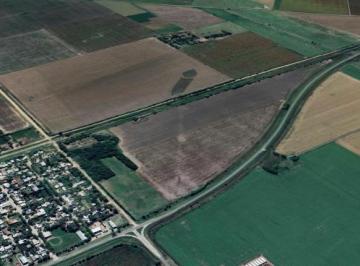 Campo , Berabevú · Campo en Berabevú - 42has - Agrícola
