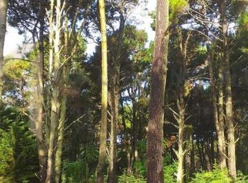 Terreno · 700m² · Terreno Lote en Venta en Costa del Este, Costa Atlántica, Buenos Aires