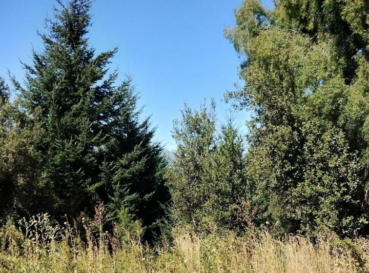 Terreno · 318m²