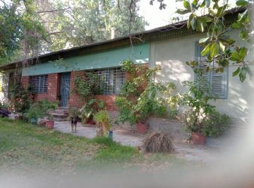Casa de 10 ambientes, Rodeo de la Cruz · Casa con Viñedos en Rodeo de La Cruz