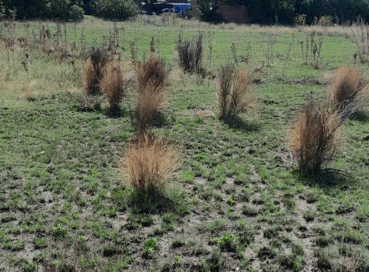 Terreno · 10000m²