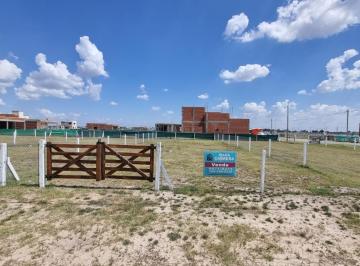 Terreno · 330m² · Lote en Venta, domselaar de 11 m de Frente X 30 m de Fondo.