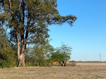 Campo · 1950000000m² · Campo en San Miguel del Monte