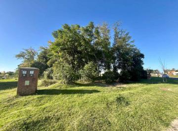 Terreno · 536m² · Lote en Venta en Pilar del Este