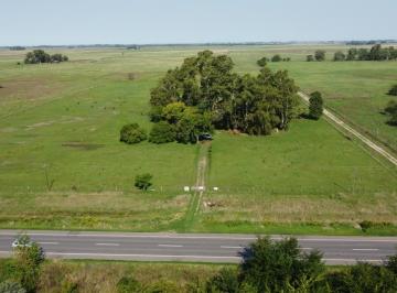 Campo , Ranchos · 5 Ha Inmejorable Acceso Sobre Rp29. Ranchos. Gral Paz.