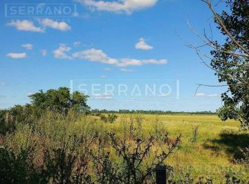 Campo · 150m² · 3 Ambientes · 10 Cocheras · Fraccion de Terreno o Campo. Venta Junto a Colonia de Chacras, Cardales. Campana.