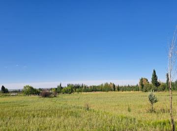 Terreno · 1802860m² · 3 Ambientes · Venta de Chacra en Cervantes, 18 Ha