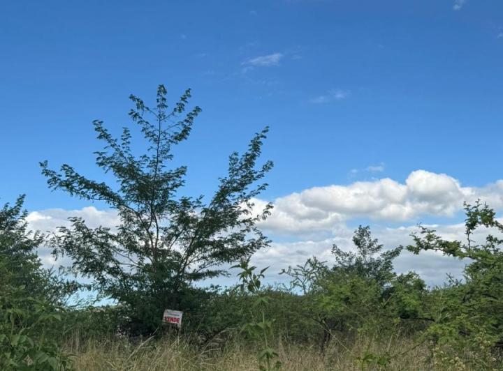 Terreno · 750m²