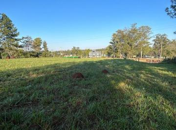 Terreno · 10000m² · Terreno Una Hectárea Sobre Ruta 105 Garupa