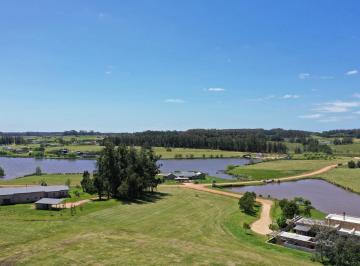 Campo · 4000m² · Pueblo Mio Lote 90