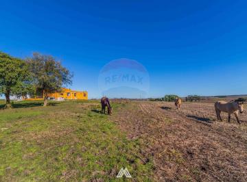 Campo · 250ha · Campo en Venta - 39 Hectáreas - Migues, Canelones
