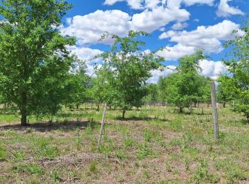 Terreno , Anisacate · Lotes con Escritura en Anisacate - Financiación