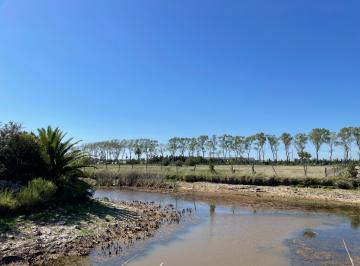 Campo , Dolores · 4 Ha Sobre Acceso Belgrano, Dolores, Buenos Aires.