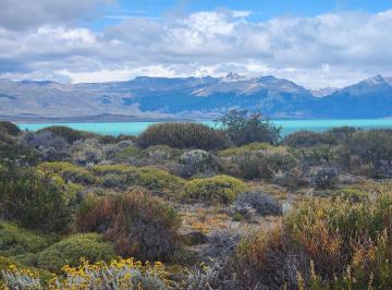 Campo · 8930000m² · Campo en Venta - 893 Hectáreas - Lago San Martín, Tres Lagos, Santa Cruz